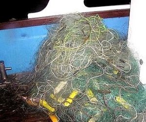 Псковское озеро почистили от браконьерских сетей