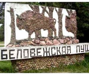 Беловежская пуща становится заповедником
