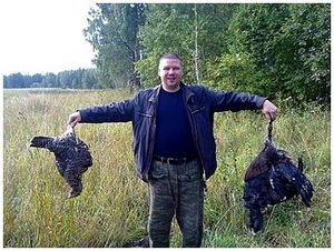 Ходовая охота с лайкой на глухаря Ходовая охота с лайкой на глухаря