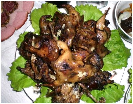 Мясо перепела: свойства, приготовления, рецепты блюд
