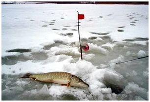 Секреты удачной рыбалки: Клев щуки и мороз