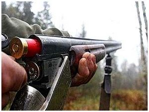 Безопасное обращение с огнестрельным оружием Безопасное обращение с огнестрельным оружием
