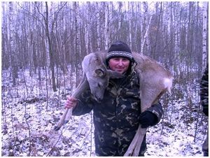 Охота скрадом на косулю Охота скрадом на косулю