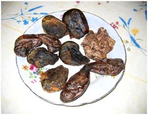 Приманка из бобровой струи