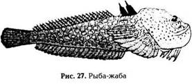 Животные, имеющие ядовитые органы для защиты и нападения: рыбы