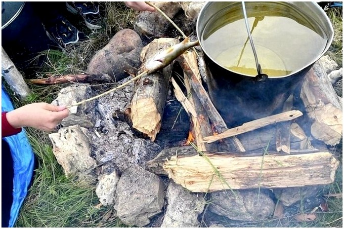 Полезные советы выживания в лесу