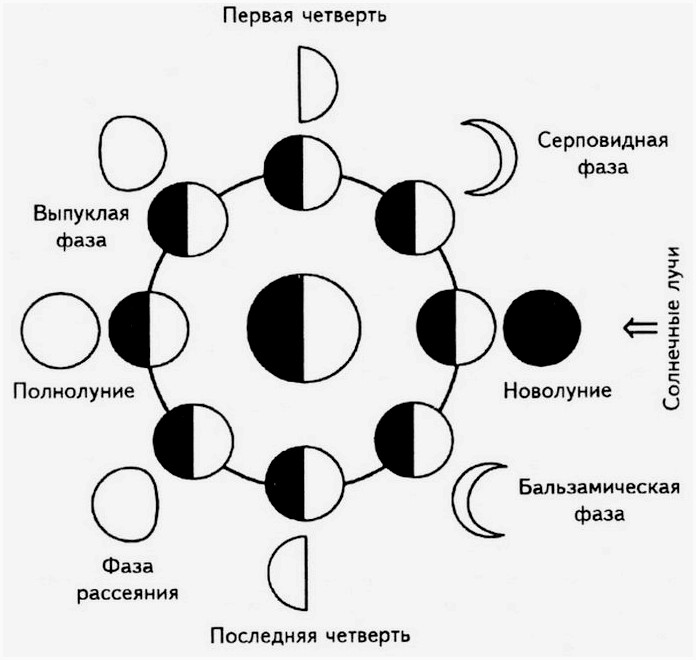 Основные принципы ориентирования в лесу