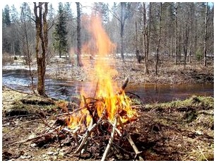 Основные способы разведения костра в лесу