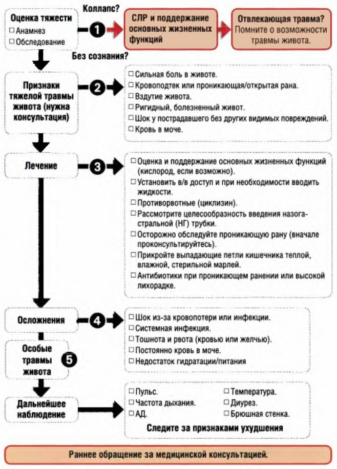 Алгоритм действий при травмах брюшной полости