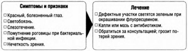 Болезни глаз, алгоритм действий, признаки тяжелых заболеваний глаз, возможность лечения в полевых условиях.