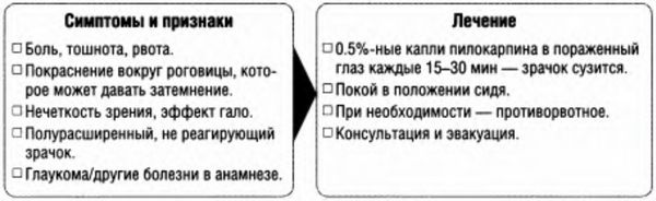 Болезни глаз, алгоритм действий, признаки тяжелых заболеваний глаз, возможность лечения в полевых условиях.