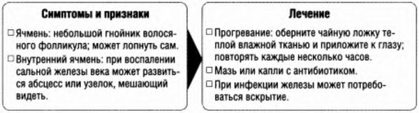 Болезни глаз, алгоритм действий, признаки тяжелых заболеваний глаз, возможность лечения в полевых условиях.