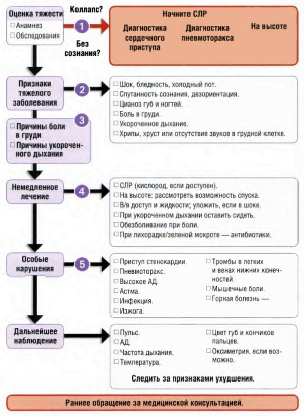 Болезни сердца и легких, обследование, признаки тяжелого заболевания, причины, первая помощь и лечение болезней сердца и легких в полевых условиях.