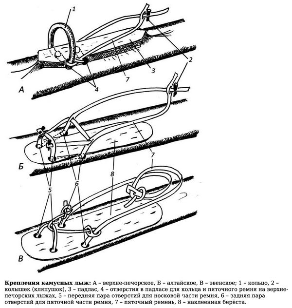 Камусные лыжи, форма и особенности изготовления камусных лыж, крепления для обуви, лыжная палка каек.