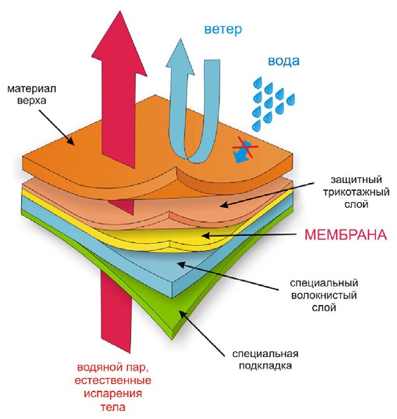 Особенности и преимущества мембранной ткани, виды мембран, структура тканей, особенности ухода за одеждой из мембранной ткани.