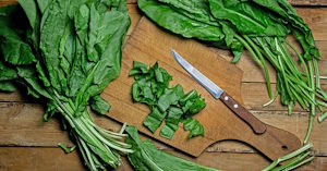 Польза щавеля для здоровья человека и 5 вкусных рецептов на каждый день