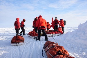 Способы перемещения людей в Арктике - от собачьих упряжек до современных технологий