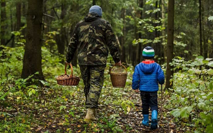 Когда лес становится ловушкой: как безопасно отдыхать на природе с детьми