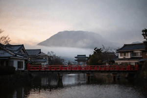 Кто сейчас оказывает туристические услуги по Японии: рейтинг туроператоров 2025-2026