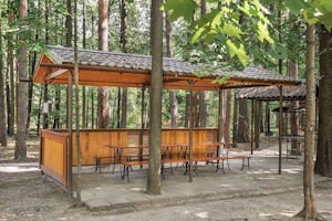 Отдых на природе без экстрима: комфортные форматы в Москве