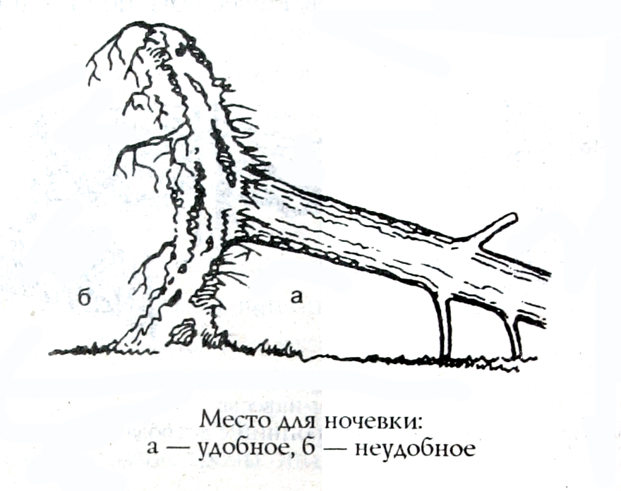 Навес